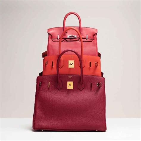 hermes borse birkin e kelly|hermes kelly price.